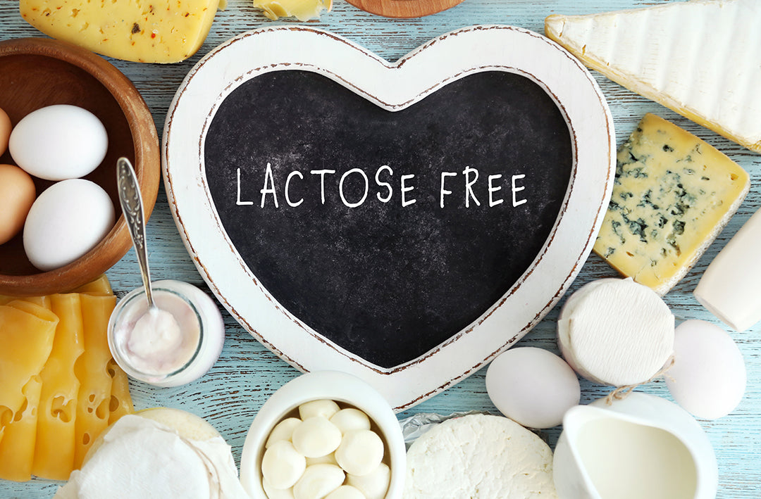 Cheese Guide for Lactose Intolerance